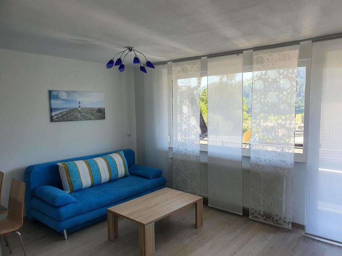 Schoene Aussicht Seelbach  Εξωτερικό φωτογραφία